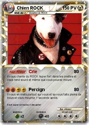 Pokemon Chien ROCK