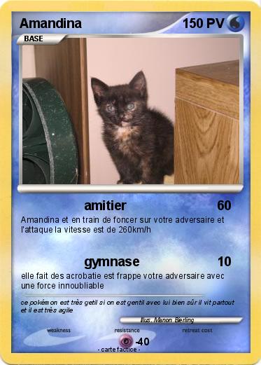Pokemon Amandina