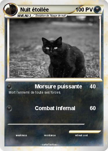 Pokemon Nuit étoilée