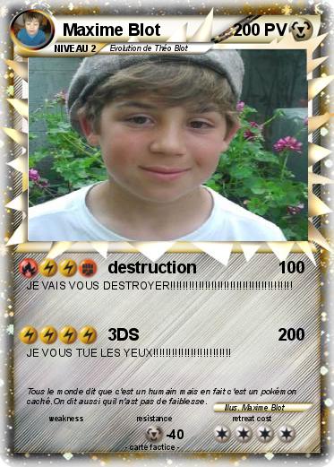 Pokemon Maxime Blot