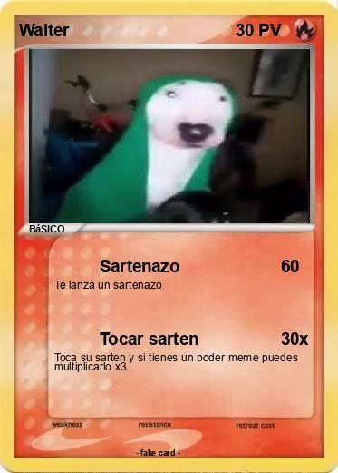 Pokemon Walter
