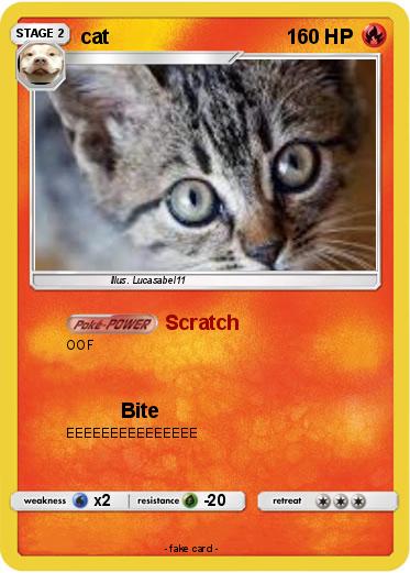 Pokemon cat