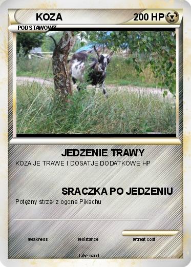 Pokemon KOZA