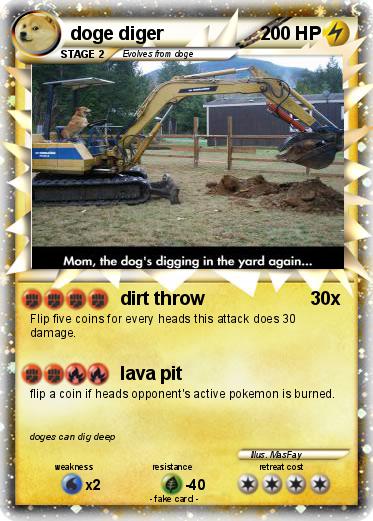 Pokemon doge diger