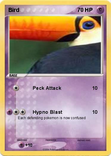 Pokemon Bird