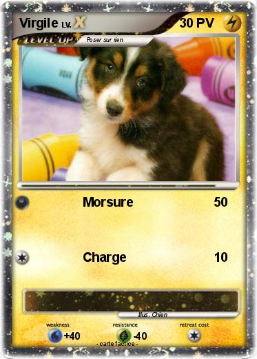 Pokemon Virgile