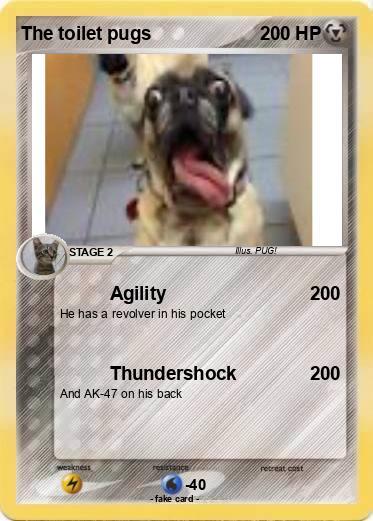 Pokemon The toilet pugs