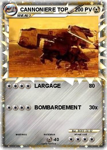 Pokemon CANNONIERE TOP