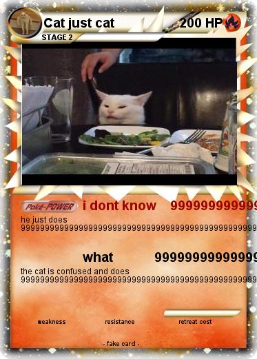 Pokemon Cat just cat