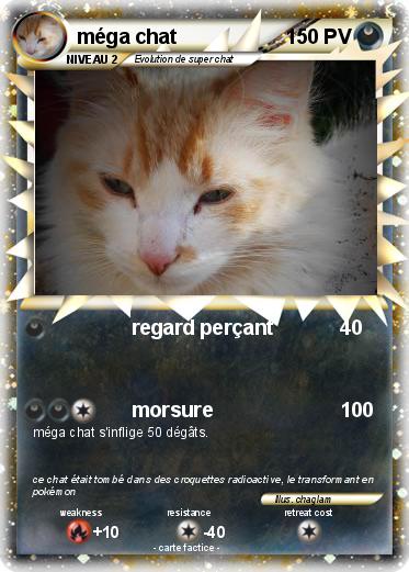 Pokemon méga chat