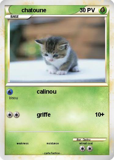 Pokemon chatoune