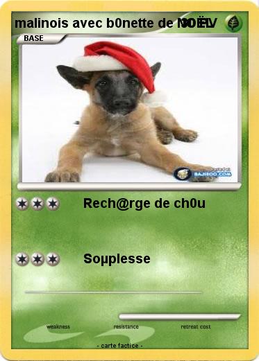 Pokemon malinois avec b0nette de NOËL