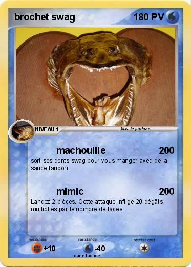 Pokemon brochet swag
