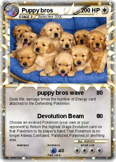 Pokemon Puppy bros
