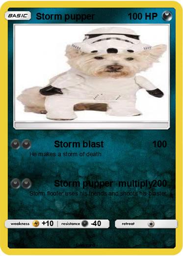 Pokemon Storm pupper