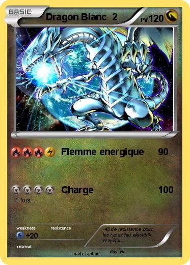 Pokemon Dragon Blanc  2