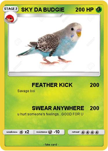 Pokemon SKY DA BUDGIE