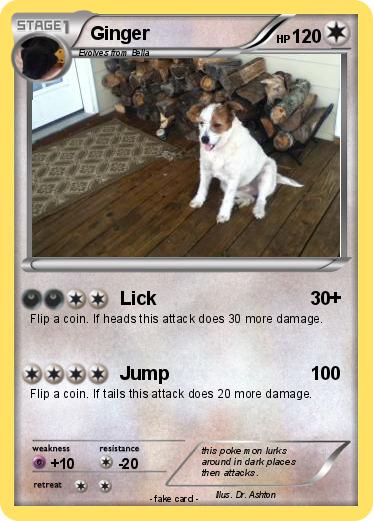 Pokemon Ginger