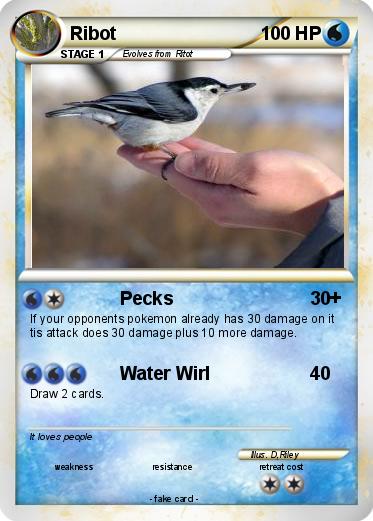 Pokemon Ribot