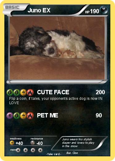 Pokemon Juno EX
