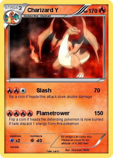 Pokemon Charizard Y