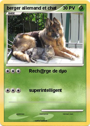 Pokemon berger allemand et chat