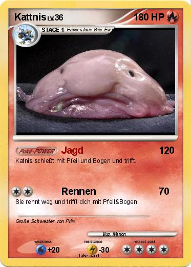 Pokemon Kattnis