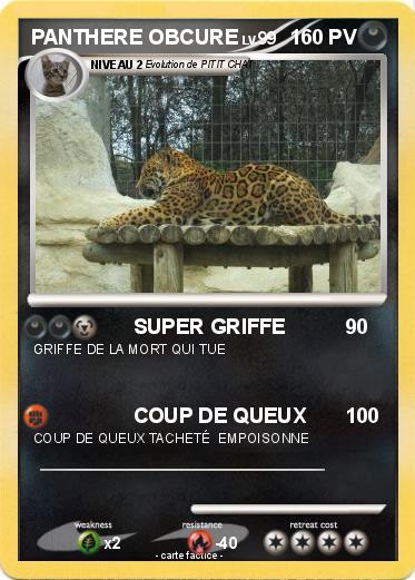 Pokemon PANTHERE OBCURE
