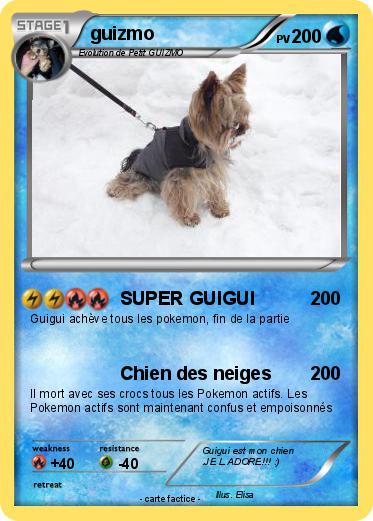 Pokemon guizmo