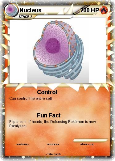 Pokemon Nucleus