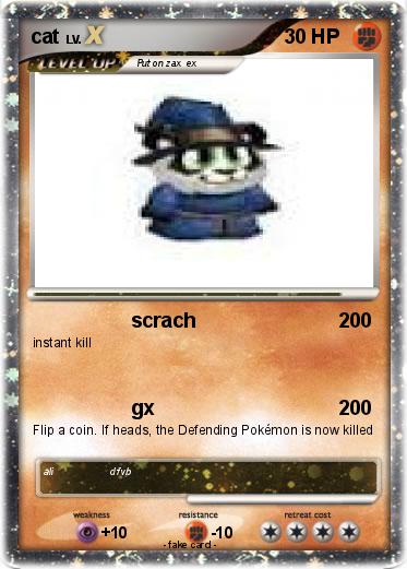 Pokemon cat
