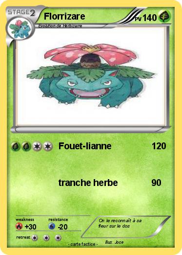 Pokemon Florrizare