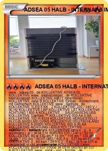 Pokemon ADSEA 05 HALB - INTERNAT 3 IME