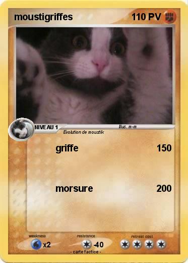 Pokemon moustigriffes
