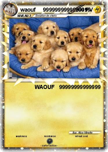 Pokemon waouf     9999999999999999