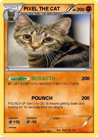 Pokemon PIXEL THE CAT