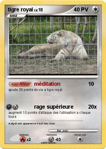 Pokemon tigre royal