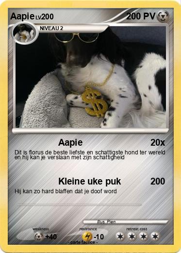 Pokemon Aapie