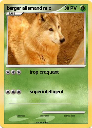 Pokemon berger allemand mix