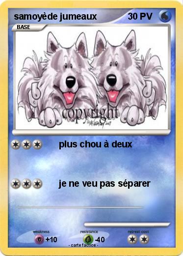Pokemon samoyède jumeaux