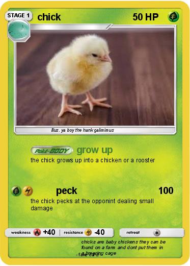 Pokemon chick