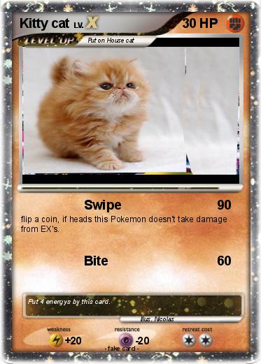 Pokemon Kitty cat