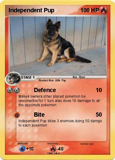 Pokemon Independent Pup