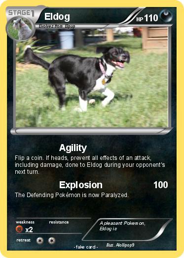Pokemon Eldog