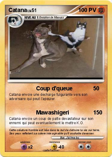 Pokemon Catana