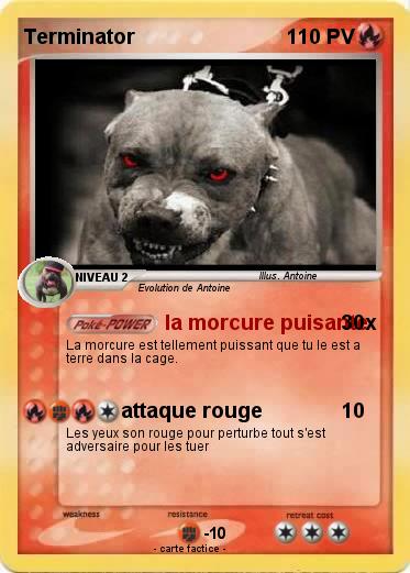 Pokemon Terminator