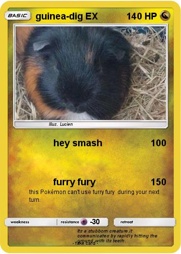 Pokemon guinea-dig EX