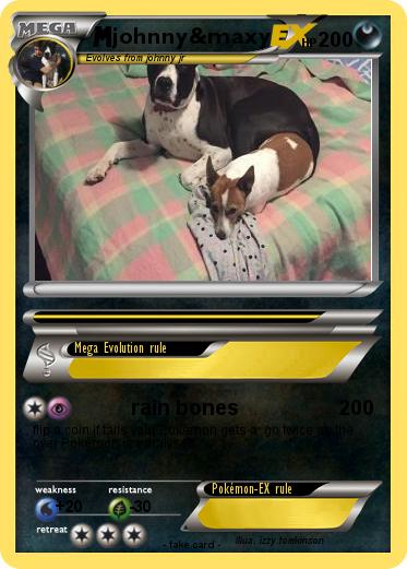Pokemon johnny&maxy
