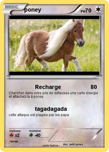 Pokemon poney