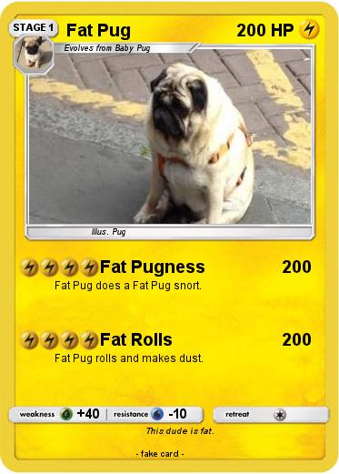 Pokemon Fat Pug